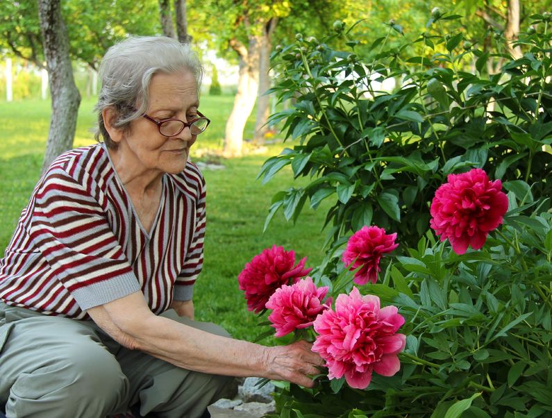 Integrating Various Therapies